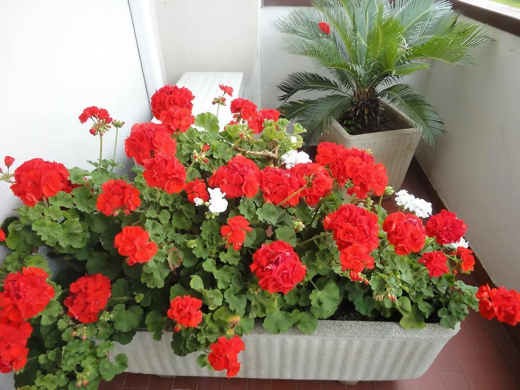Pensionat Cisanello House Hotell Pisa