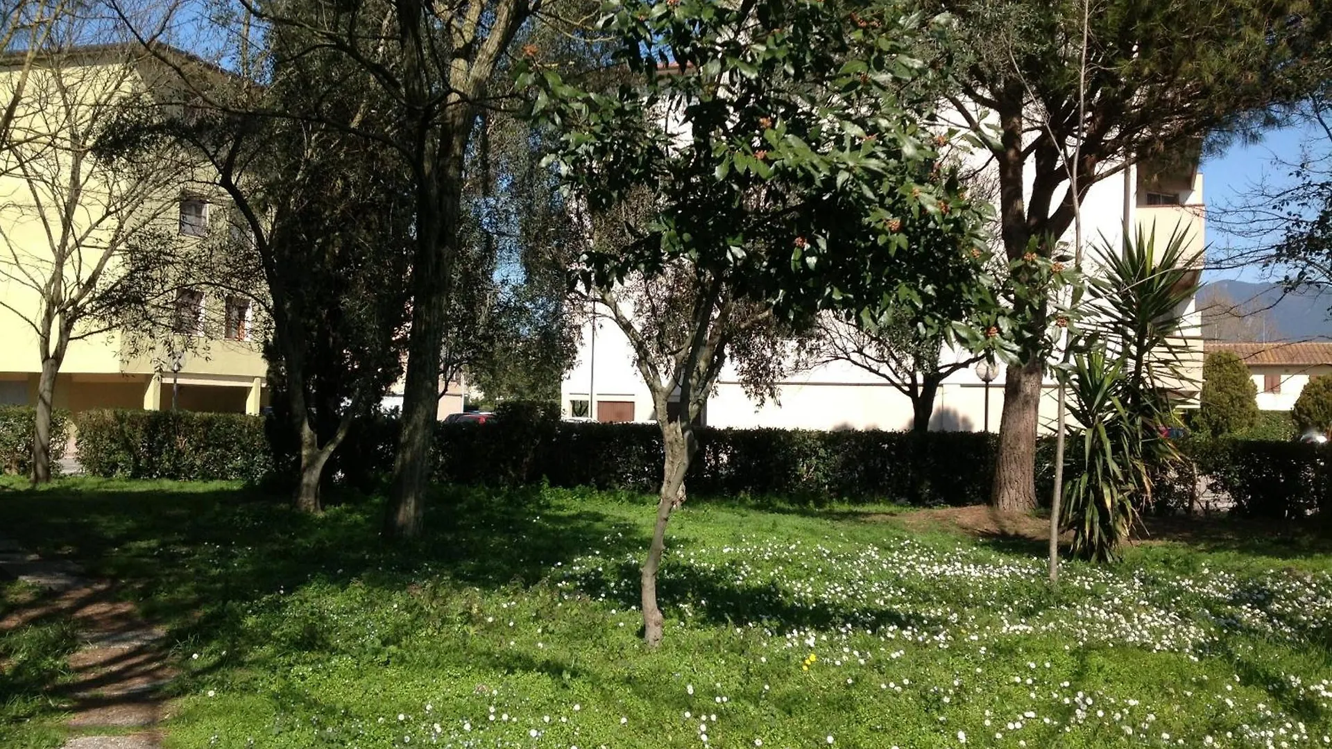Pensionat Cisanello House Hotell Pisa Italien